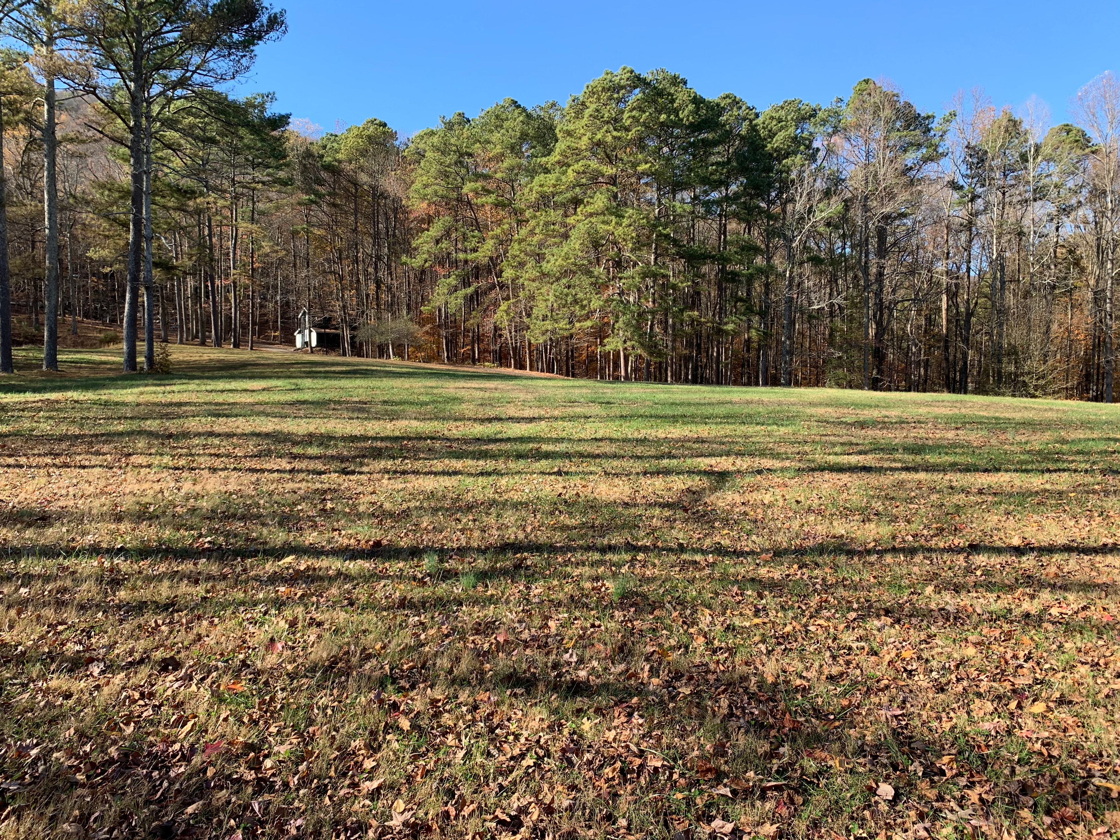 Open field camping area at Dug Hill