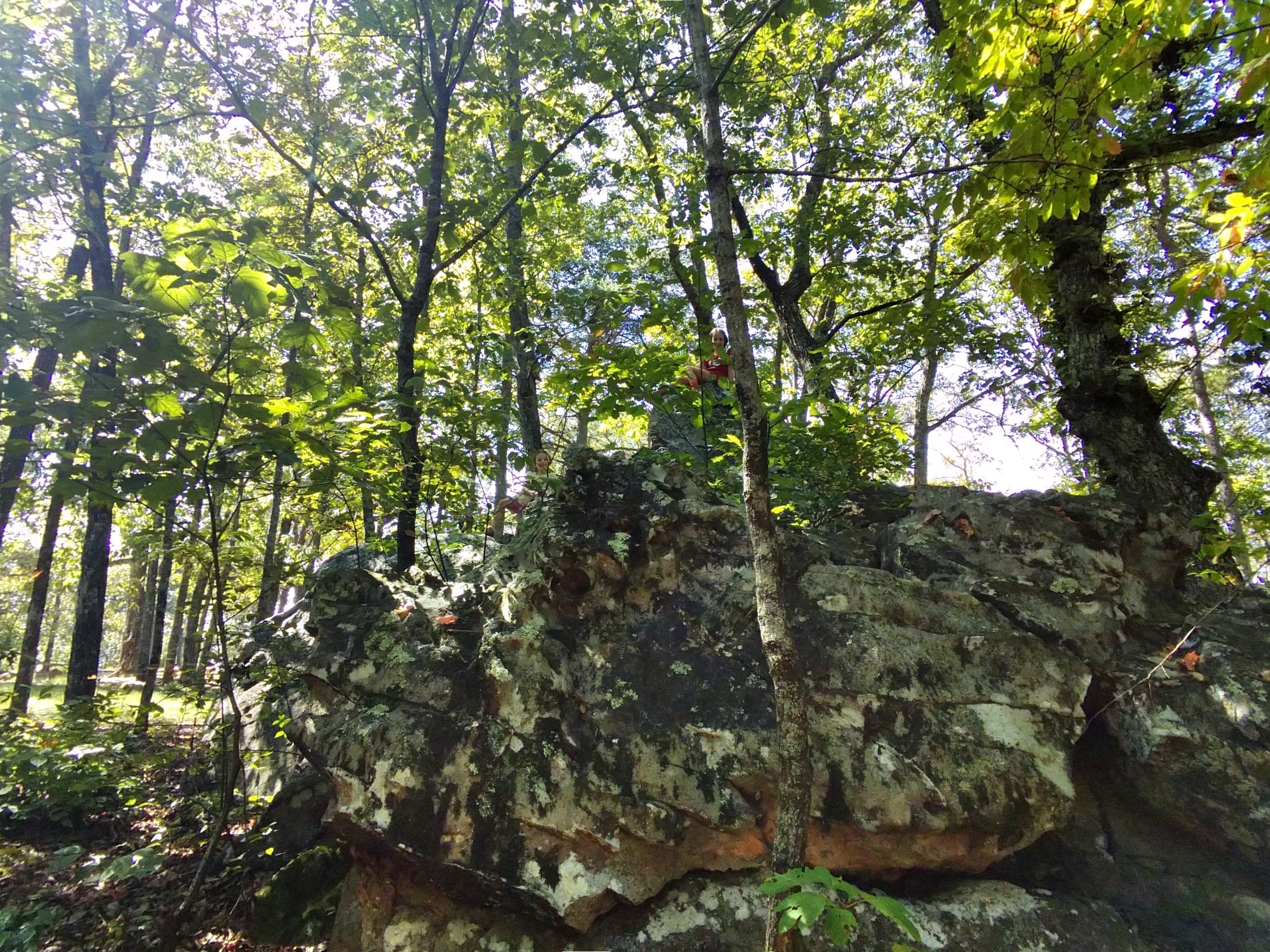 Dug Hill property in fall