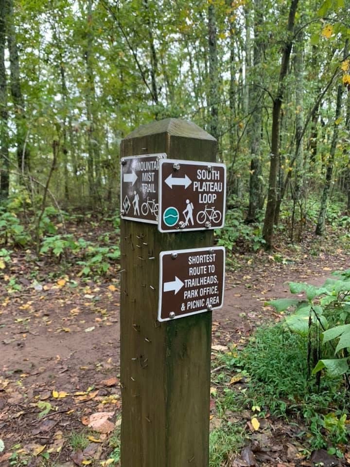 Trail sign in the forest at Dug Hill